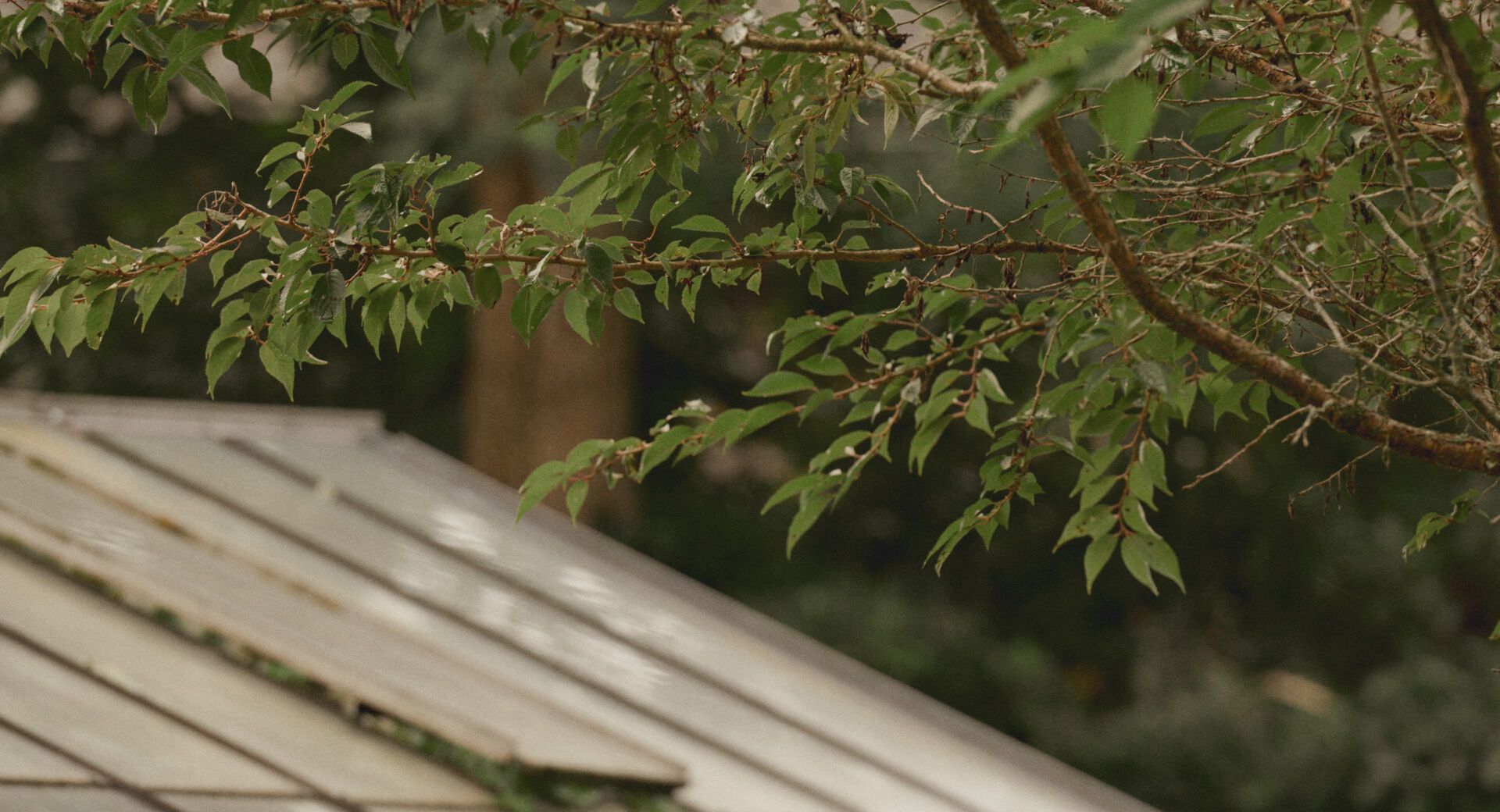 Extra 15% Off Winter Sale